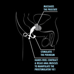 Anal Adventures Prostate Stimulator Black