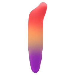 Play With Me Dolphin Dreams Vibrator