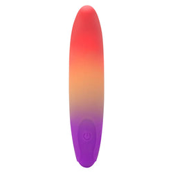 Play With Me Dolphin Dreams Vibrator