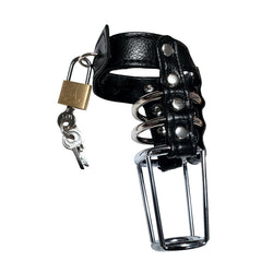 Leather and Steel Cock Cage